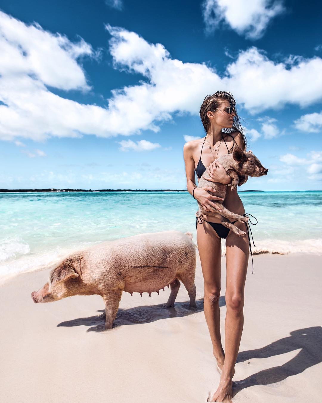 Pig Island, Bahamas. Credits to @debiflue on Instagram